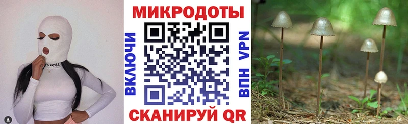 как найти   omg как войти  Псилоцибиновые грибы Psilocybe  Копейск 