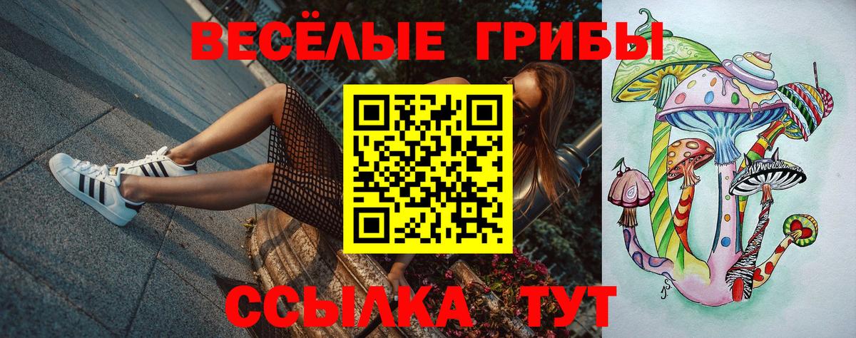Копейск  Галлюциногенные грибы Cubensis  Вход с VPN 