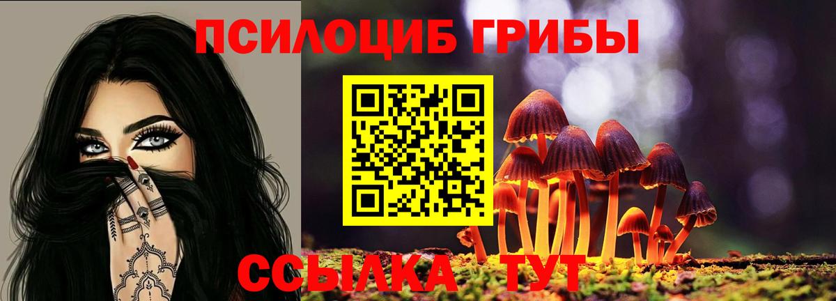 Псилоцибиновые грибы прущие грибы Копейск